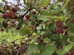 -迪庆藏族自治州博物馆