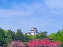 -莲花池公园