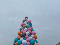 -上海海昌海洋公园