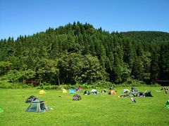-武陵山森林公园