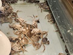 -鼎香缘海鲜自助火锅烤肉(锦辉购物广场店)