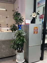 -LJOY丽锦造型·烫发染发
