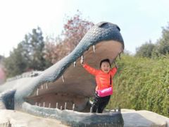 -石家庄市动物园