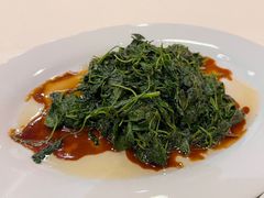 -梅龙镇酒家(南京西路总店)