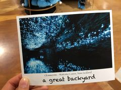 -怀托摩萤火虫洞