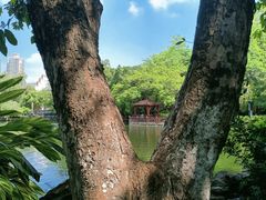 -东莞市可园博物馆