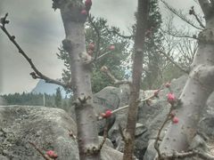 -佛爷洞旅游景区