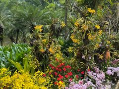 -中国科学院西双版纳热带植物园