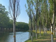 -东郊湿地公园