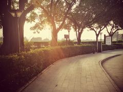 -黄埔古港