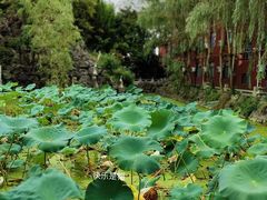 -皇罗禅寺