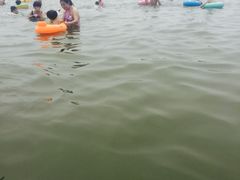 -碧海金沙