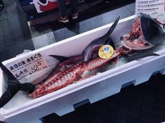 -大起水产回转寿司(道顿堀店)
