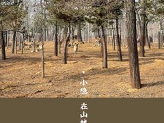 -秦皇岛野生动物园