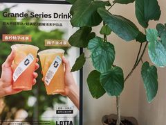 -LOTTA COFFEE(安居博文苑店)
