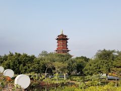 -厦门园林博览苑