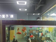-车友必成·3M汽车贴膜/隐形车衣/改色膜(成都店)