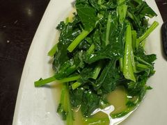 -陈麻婆豆腐(旗舰店)