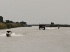 -洪湖生态旅游区