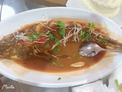 酱焖辫子鱼-春来酒家