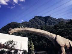 -梦幻奥陶纪景区