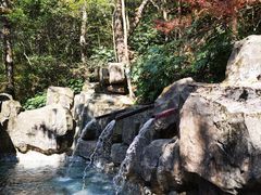 -宁海森林温泉