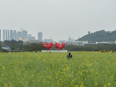 -光明小镇欢乐田园