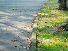 -浙江万里学院(钱湖校区)