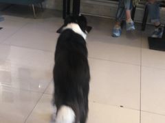 -平行世界·猫咖(首经贸店)