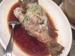 iphone_upload_pic-乾隆美食·本帮菜(黄河路店)