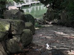 -白马涧龙池景区