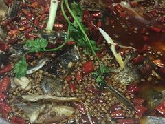-大味美蛙鱼头(遂宁总店)