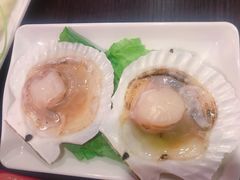 -拾下卜卜贝•海鲜火锅