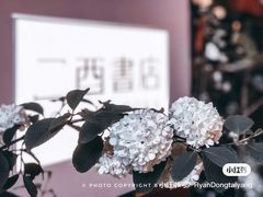 -二酉书店TOYOU BOOKS