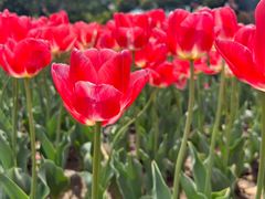 -玄武湖景区-情侣园游乐场