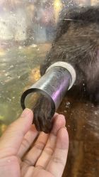 -Zoolung Zoolung动物主题公园(海信广场店)