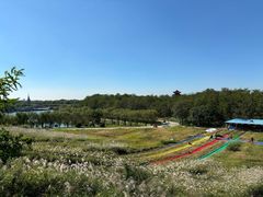 -南戴河国际娱乐中心