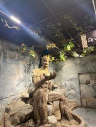 -Zoolung Zoolung动物主题公园(海信广场店)