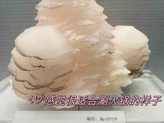 -湖南省地质博物馆