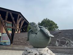 -广东惠东海龟国家级自然保护区