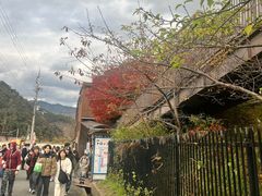 -岚山嵯峨野观光小火车