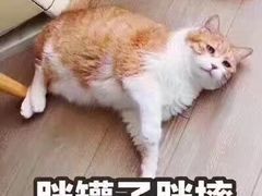 -椰子下蛋(南锣鼓巷店)