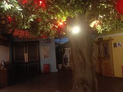 -老阿妈蒙古村·蒙古包·草原文化·歌舞表演(老君堂店)