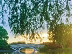 -大兴滨河森林公园