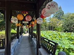 -丝绸小镇荻港古村