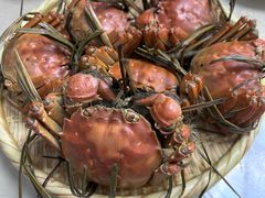 -芸海阁·农家私房菜(沙家浜景区出口店)