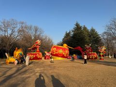 -洛阳市隋唐城遗址植物园
