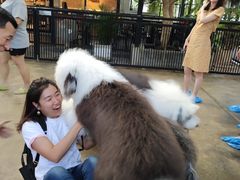 -TrueLove @ Neverland (Husky Cafe)