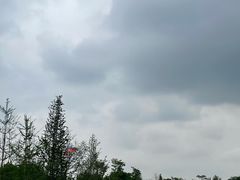 -白鹭湾湿地公园