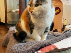 -浅行深作咖啡坊